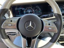 IMG_3187.jpeg